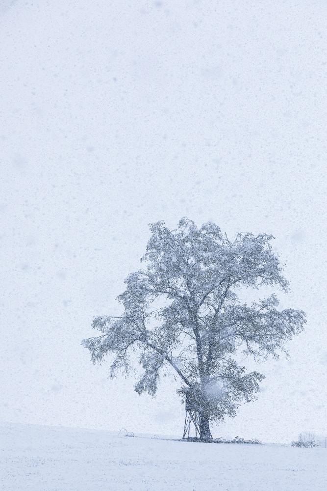 Platz 10 Conny Kleiner